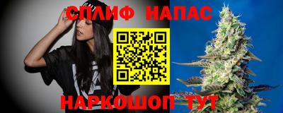 ECSTASY Будённовск