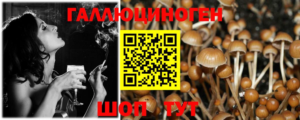 Псилоцибиновые грибы Psilocybe  Псилоцибиновые грибы Cubensis  где можно купить наркотик  Кондопога  Вход с VPN 